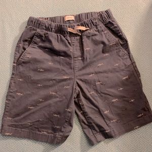 Old Navy shark chino shorts boy’s size 14/16